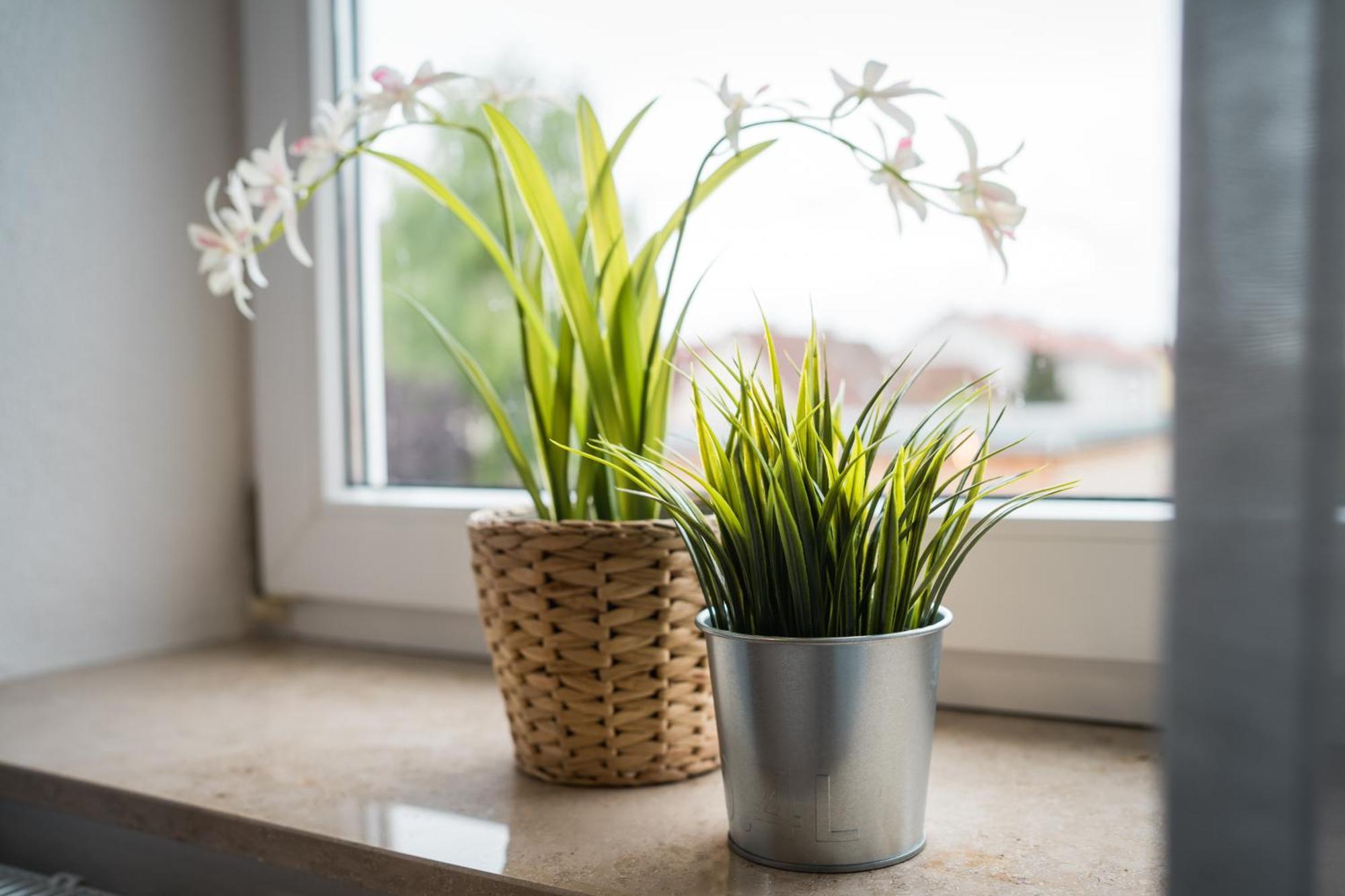 Doppelzimmer 3 - Neu Renoviert Dinkelsbühl Exteriör bild